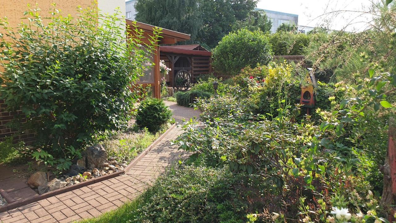 Haesselhof - 80Qm Ferienwohnung Im Zentrum Von باد ليبينويردا المظهر الخارجي الصورة
